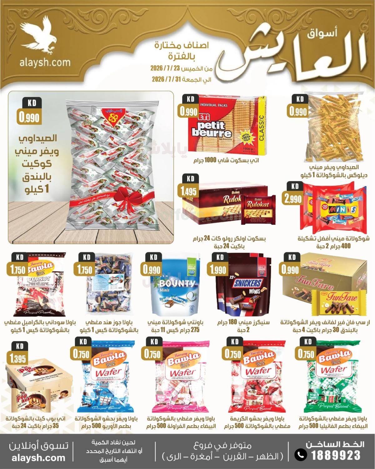 صفحة 13