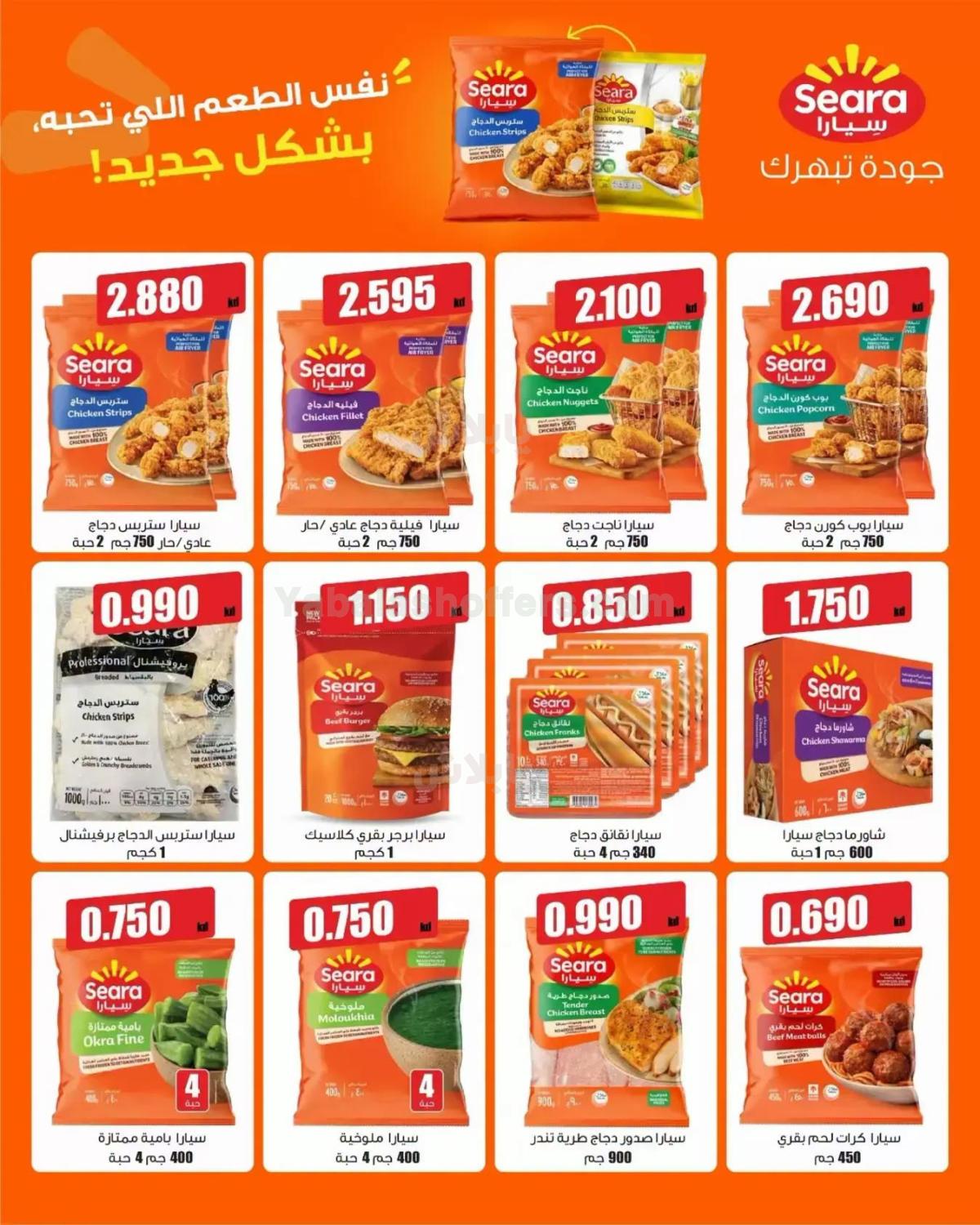 صفحة 2