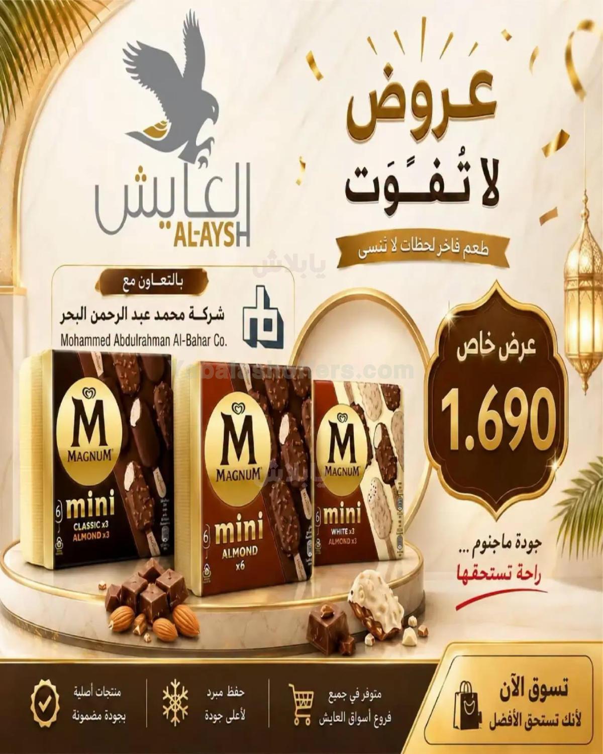 صفحة 13