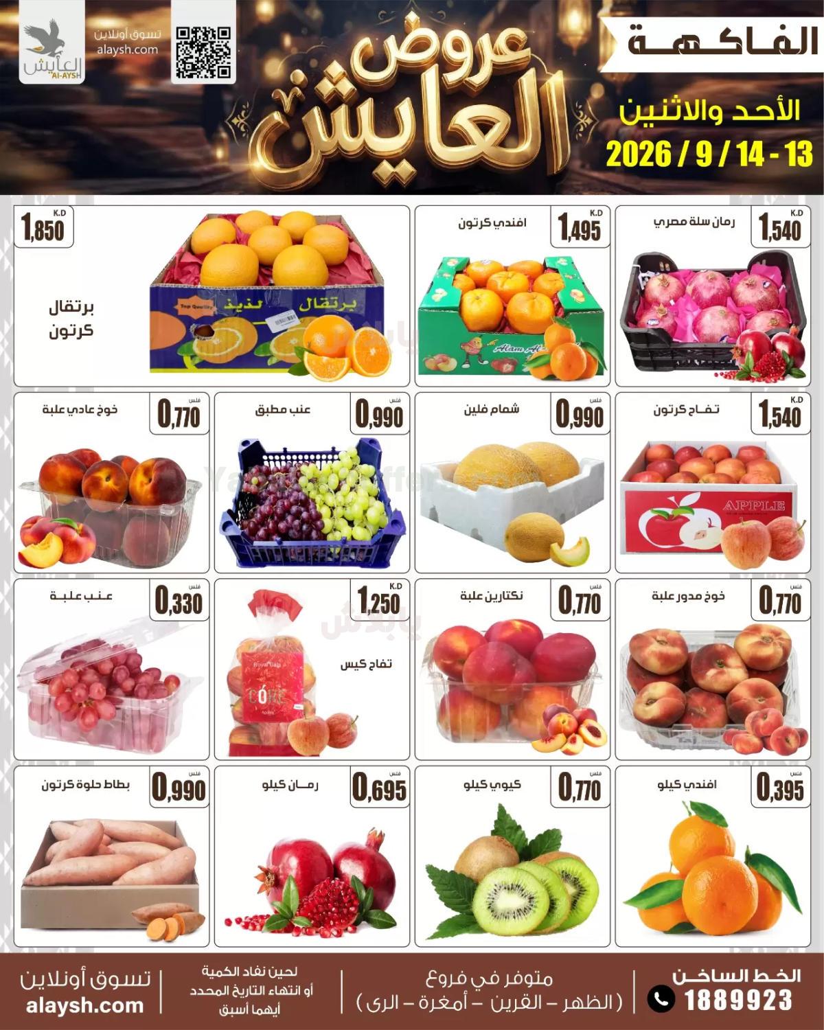 صفحة 3