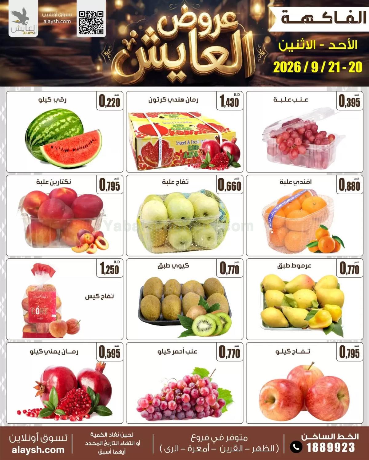 صفحة 3
