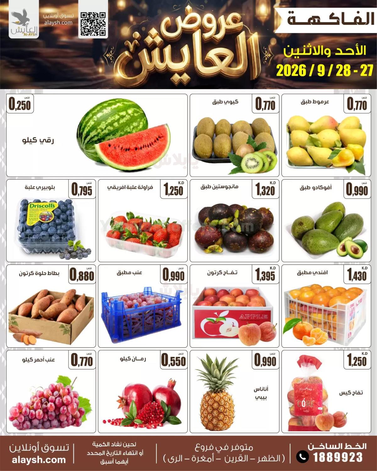 صفحة 3