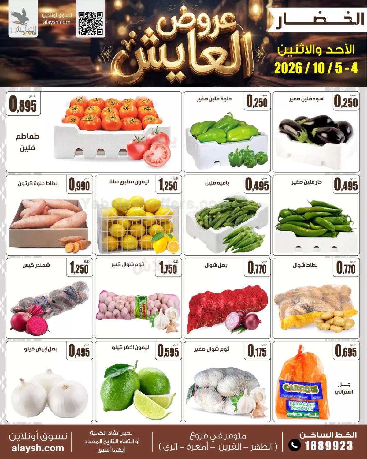 صفحة 3