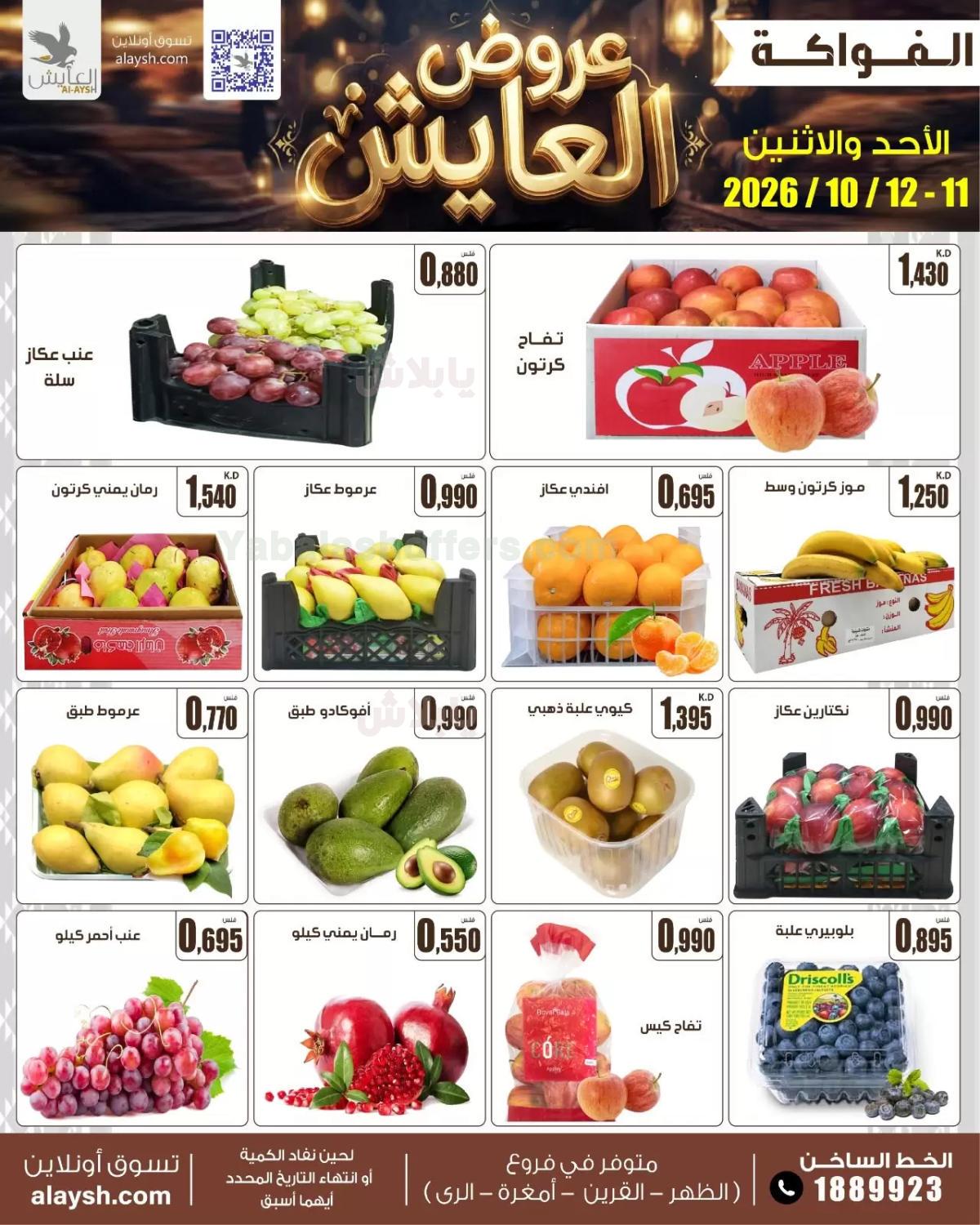 صفحة 3