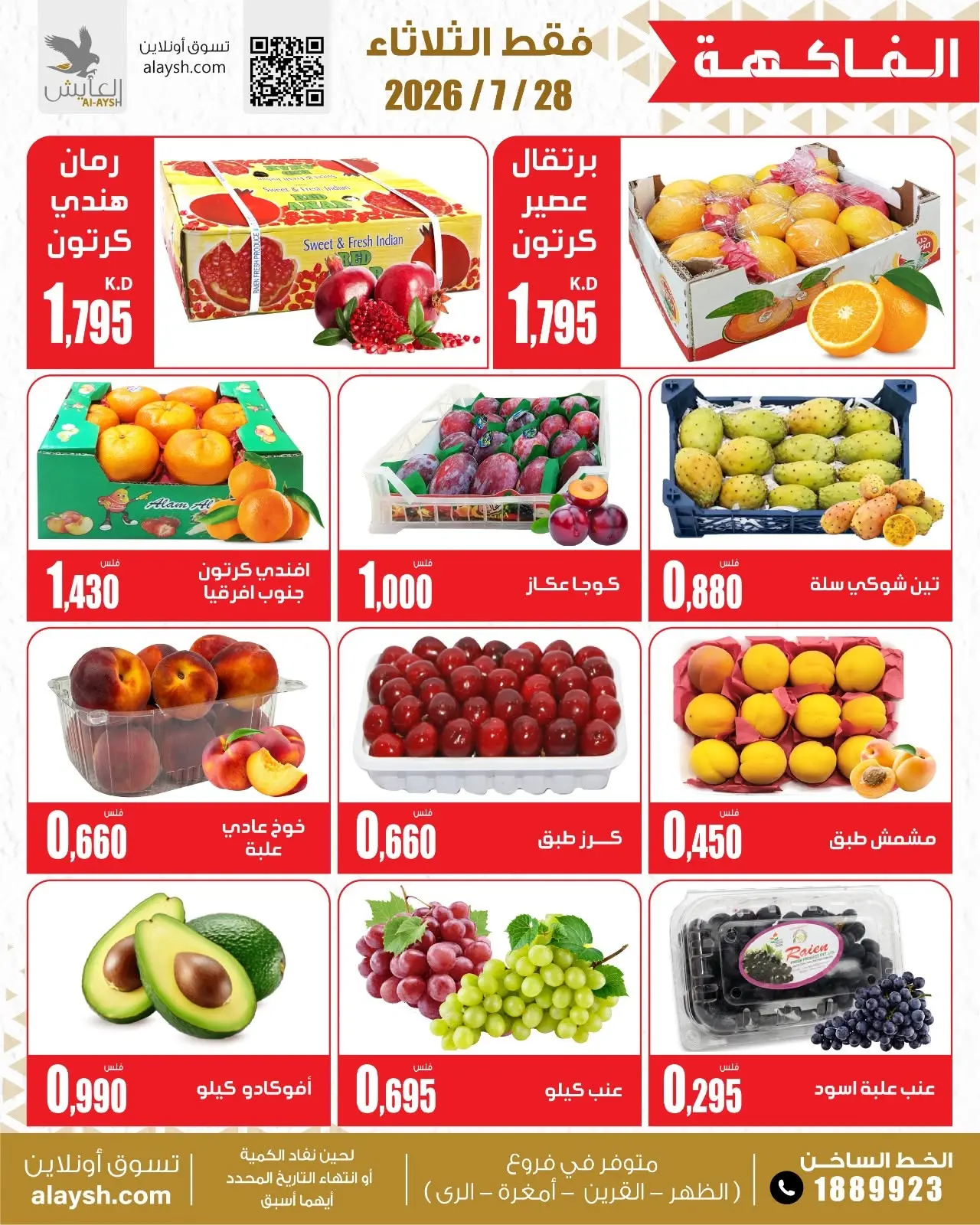 صفحة 3