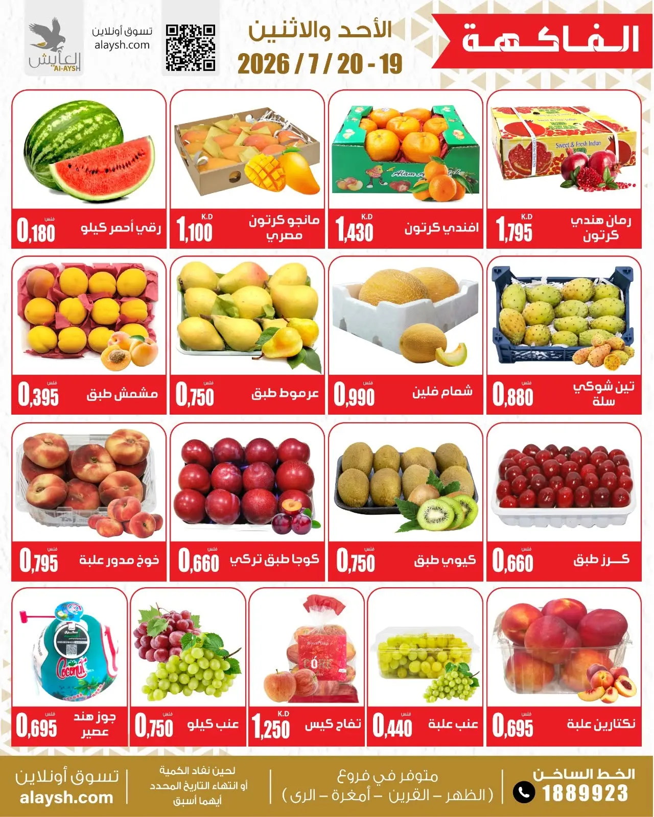 صفحة 3