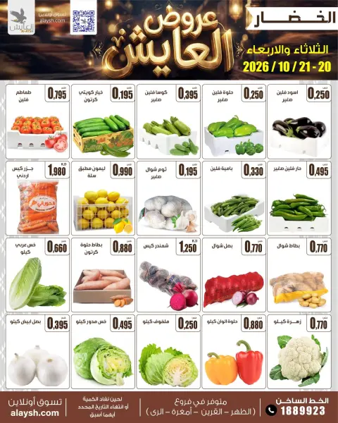 صفحة 3