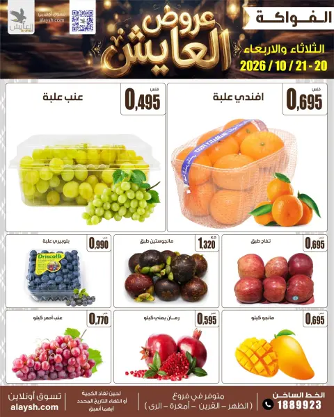 صفحة 4
