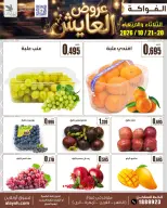 صفحة 9
