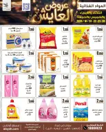 صفحة 11