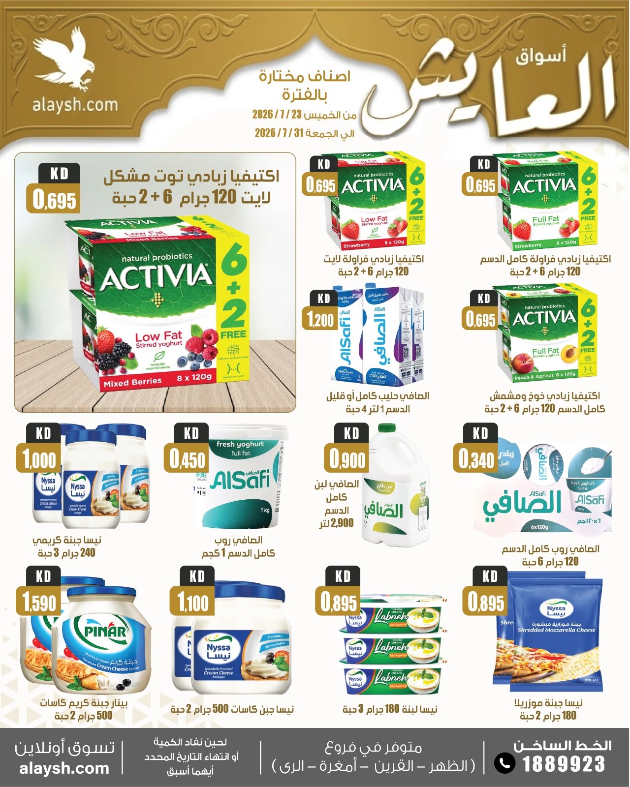 صفحة 13