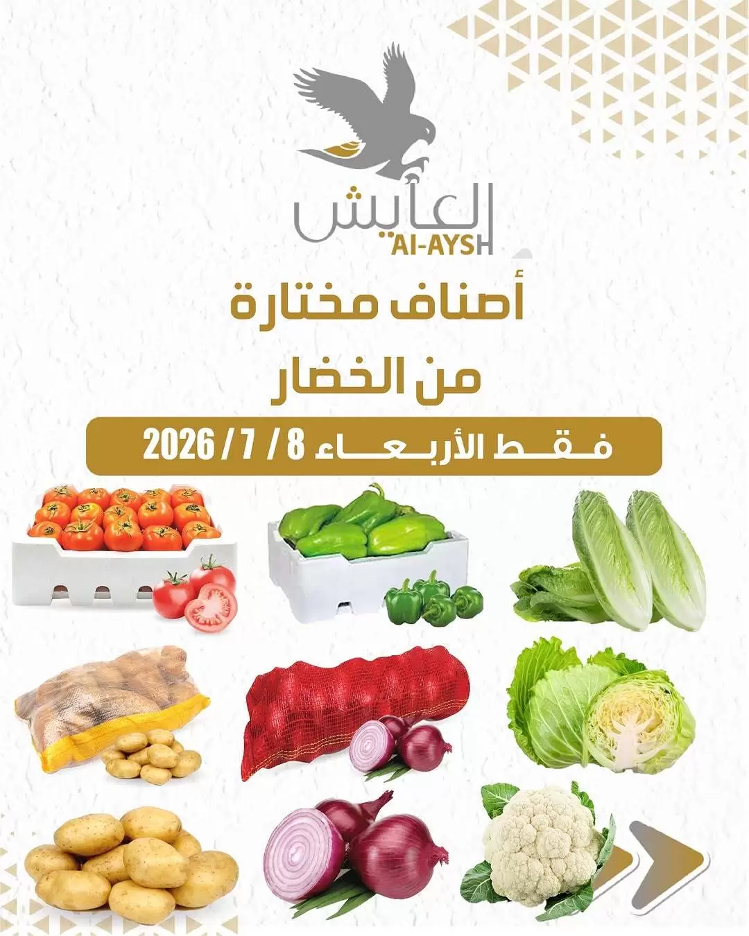 صفحة 1