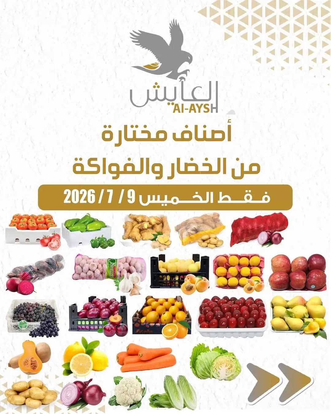 صفحة 1
