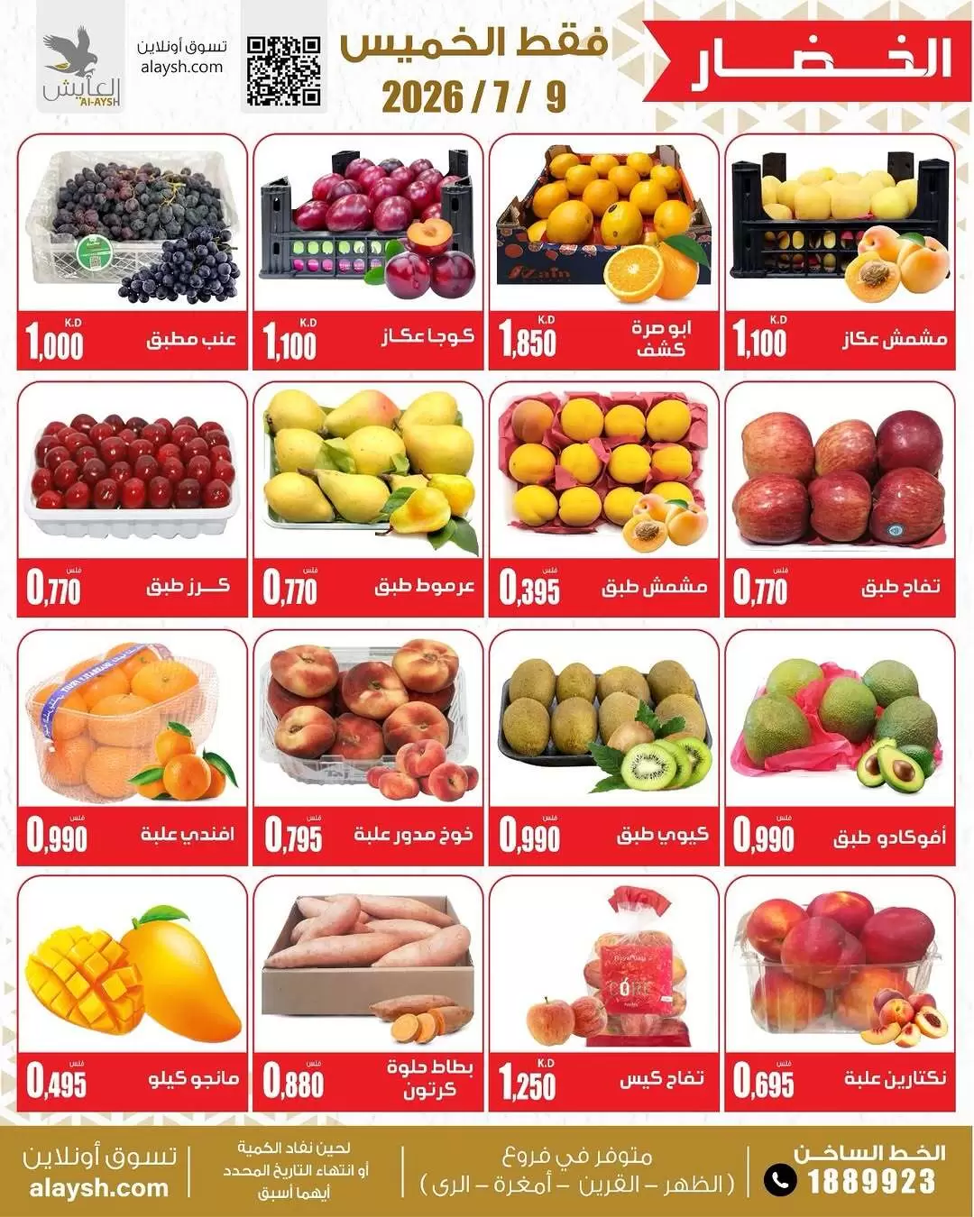 صفحة 3
