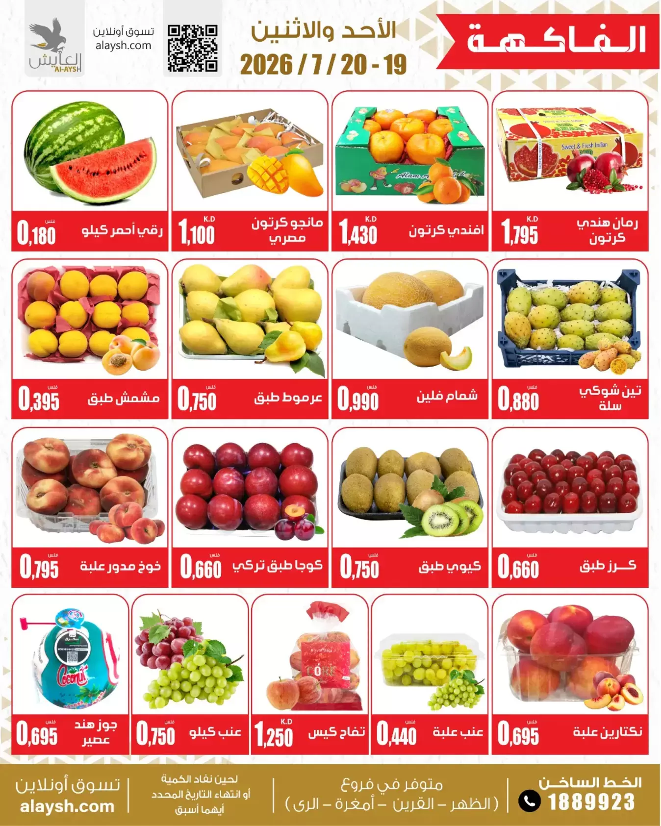 صفحة 3