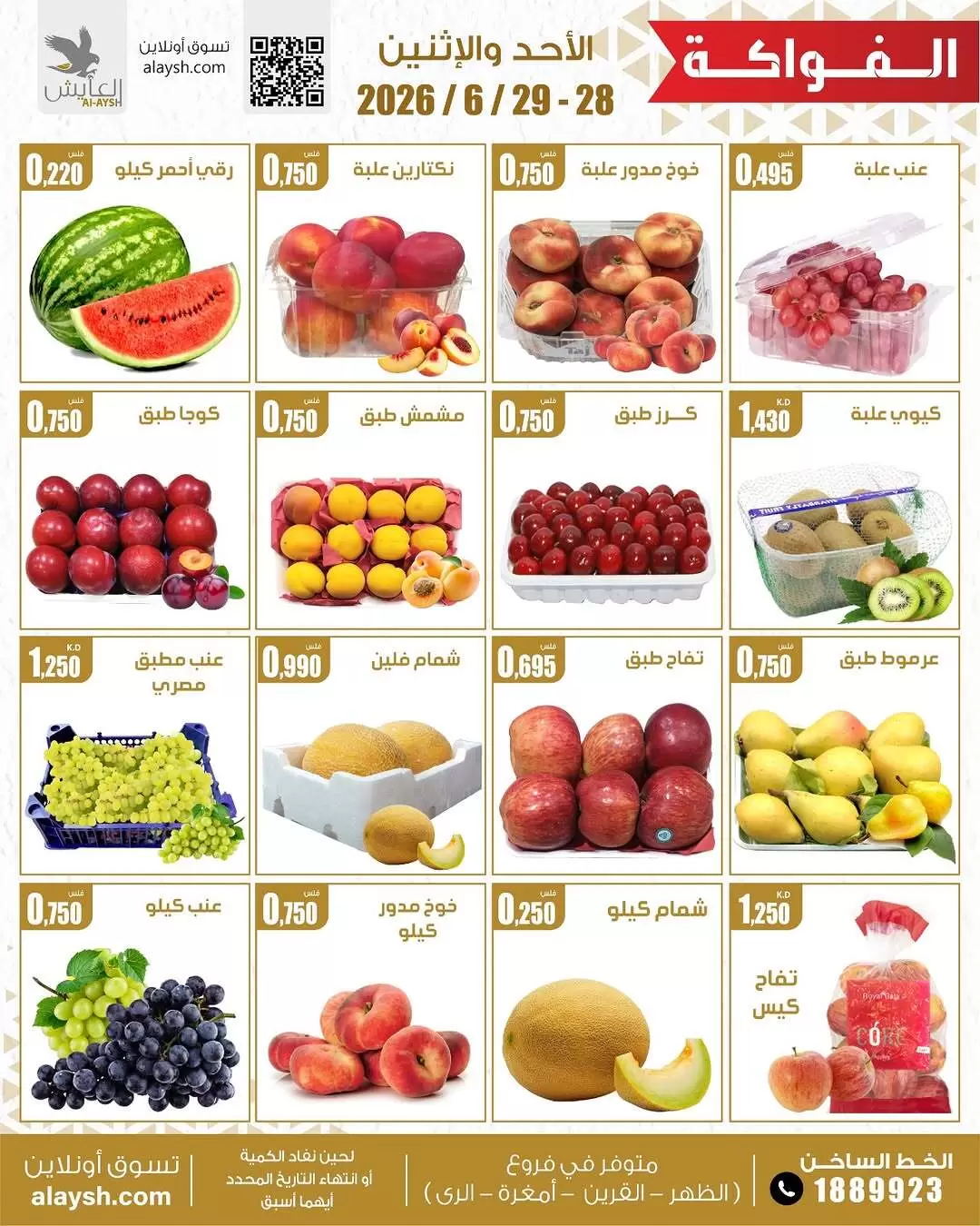 صفحة 3