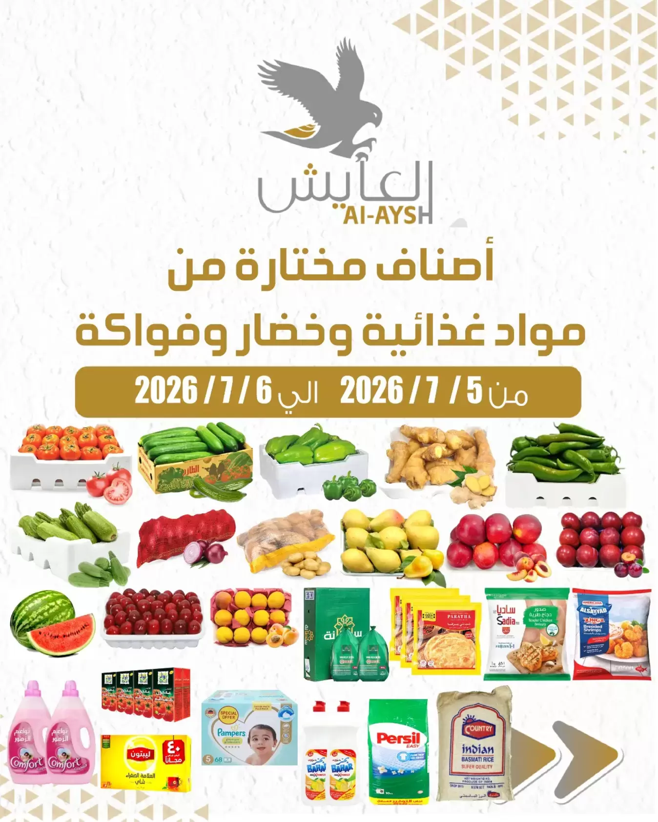 صفحة 1