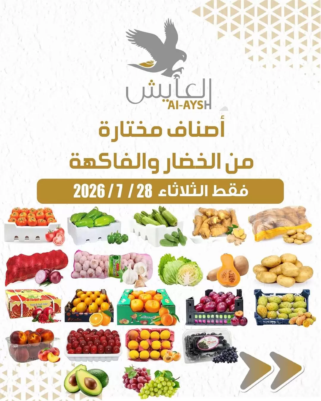 صفحة 1
