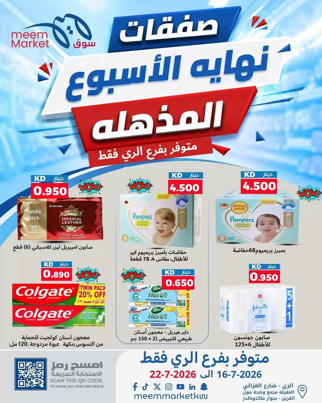 صفحة 13
