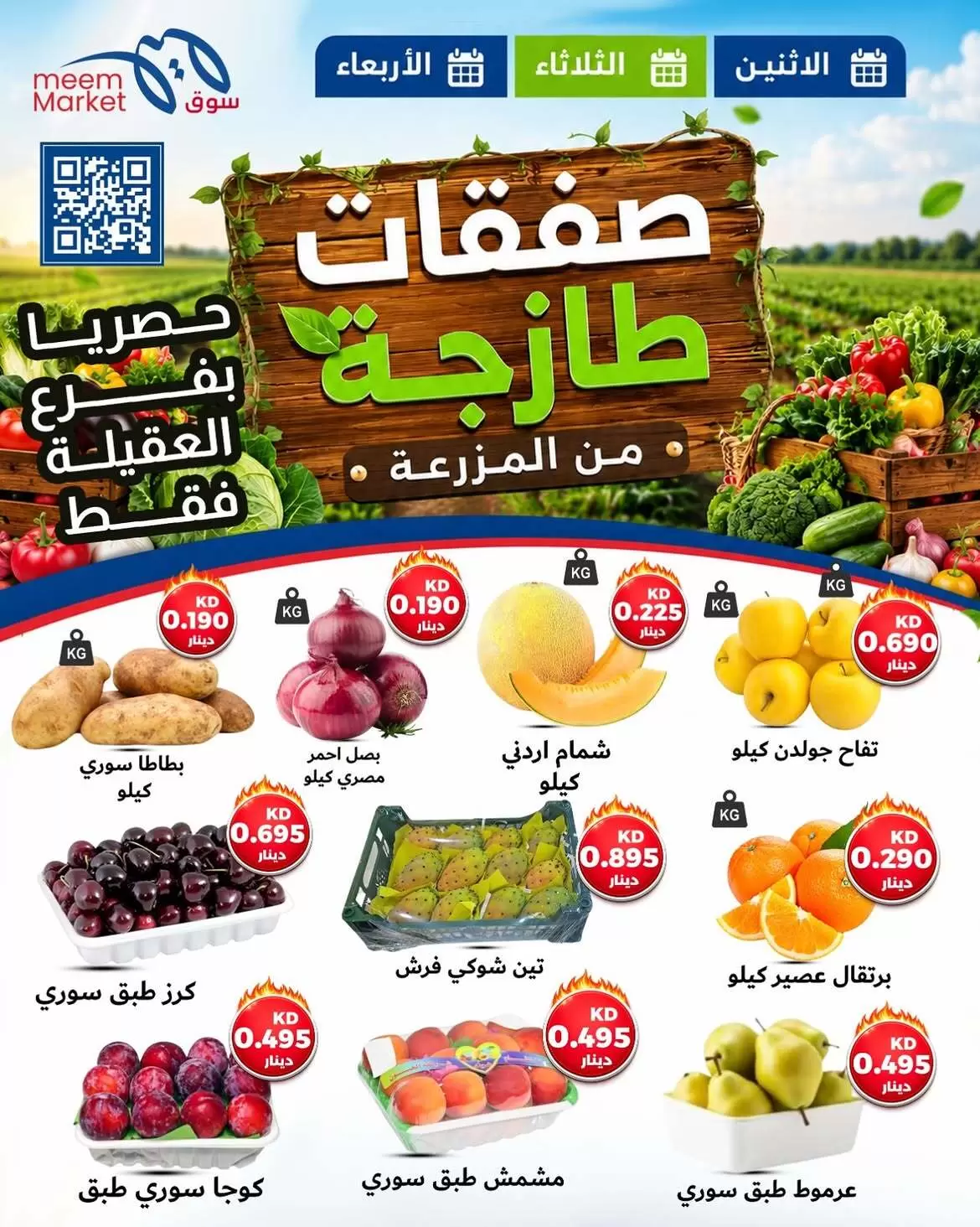 صفحة 1