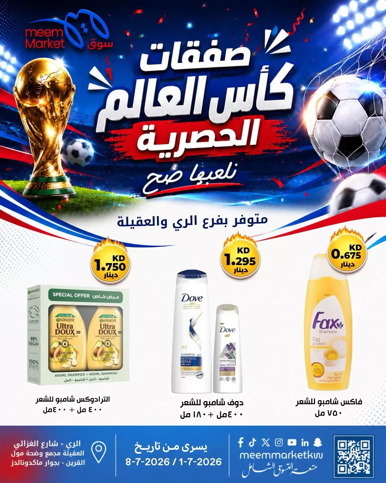 صفحة 13