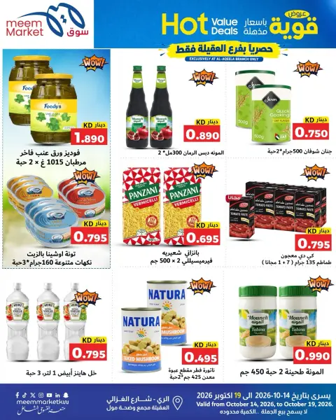 صفحة 19