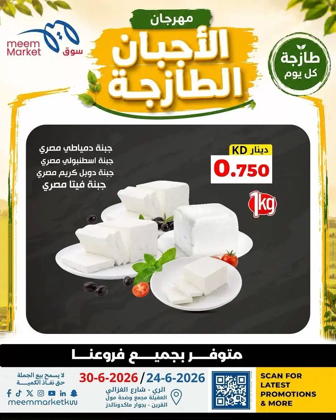 صفحة 2