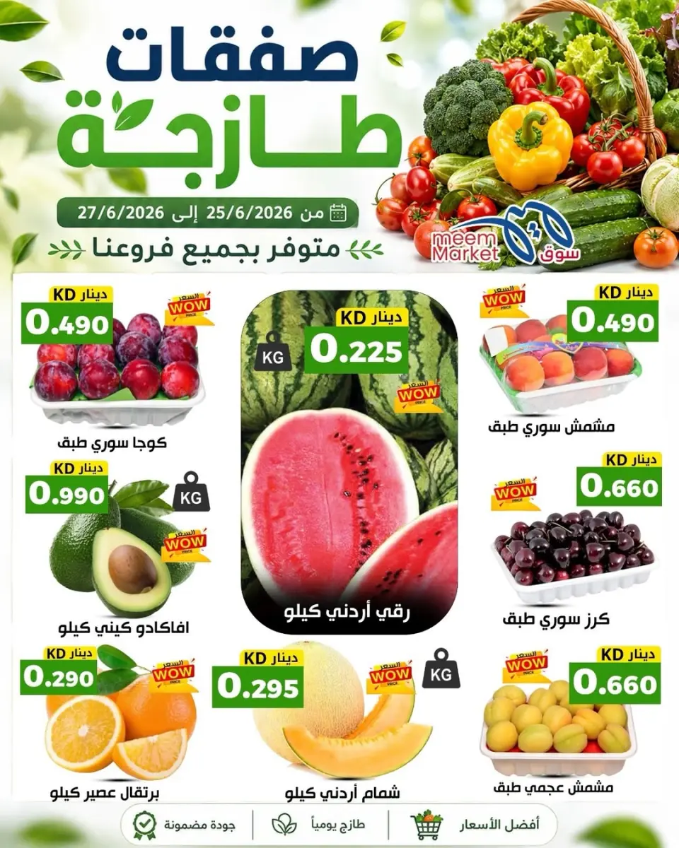 صفحة 1