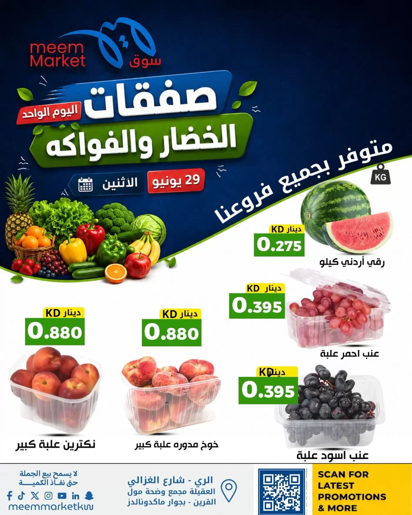 صفحة 1