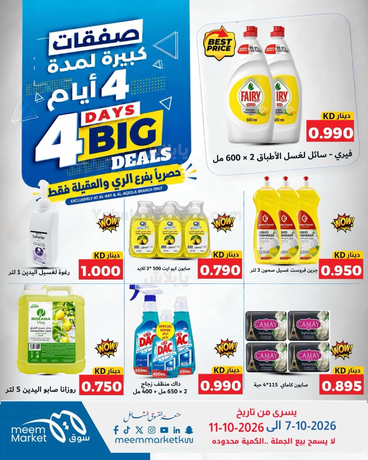 صفحة 8