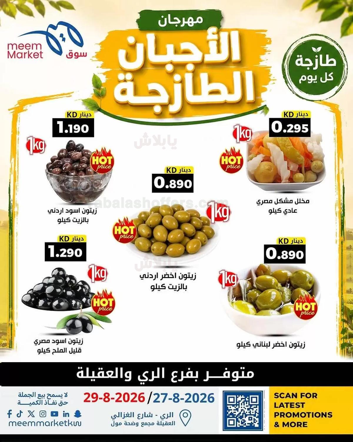 صفحة 2