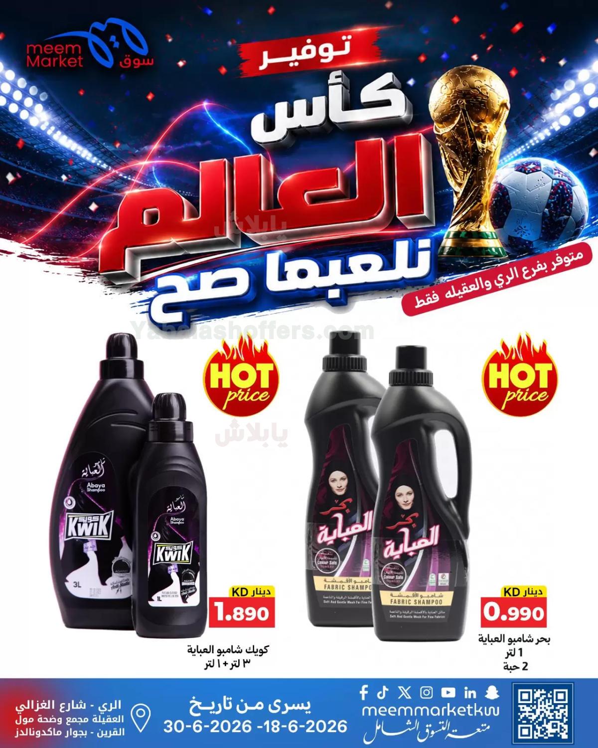 صفحة 13