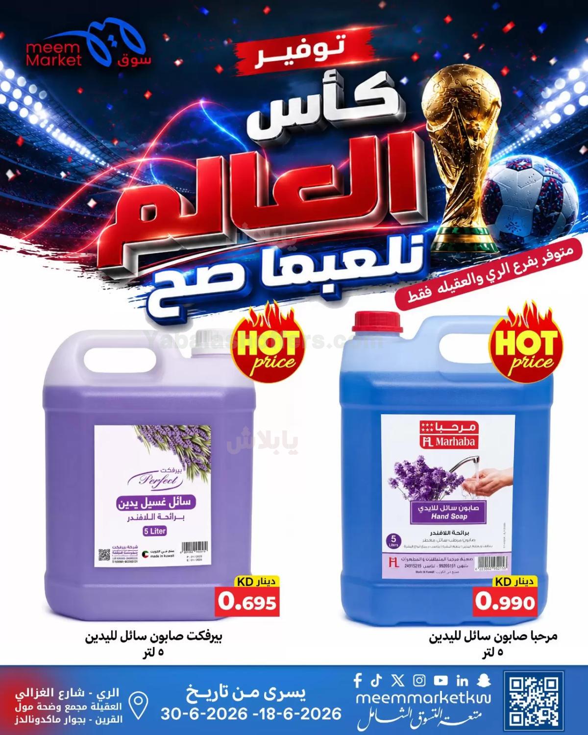 صفحة 31