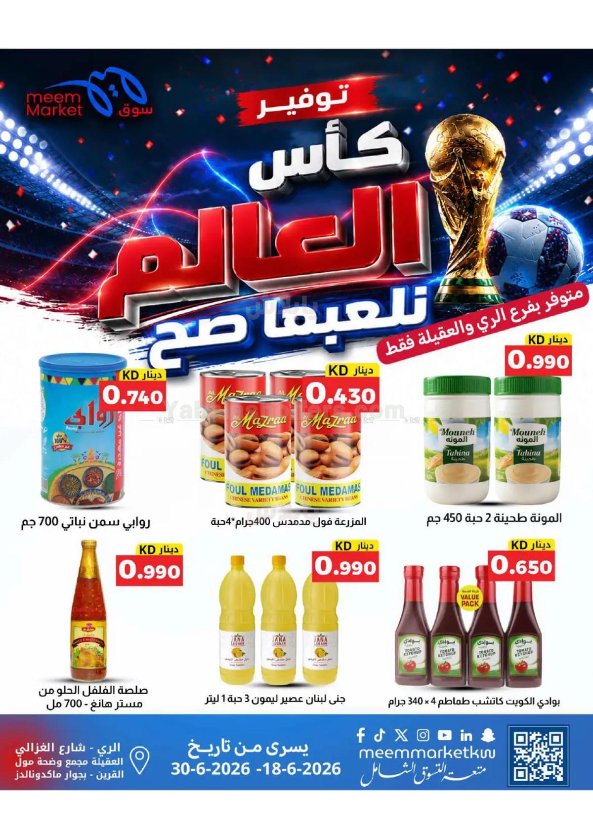 صفحة 8