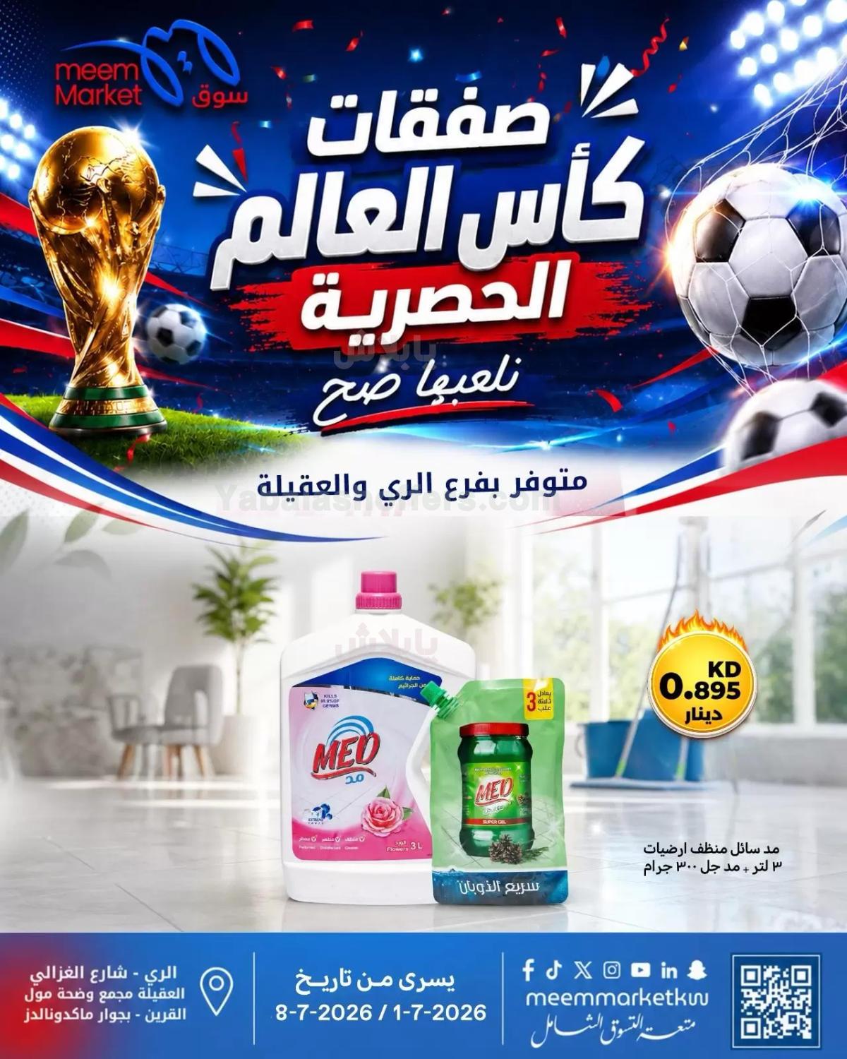 صفحة 17