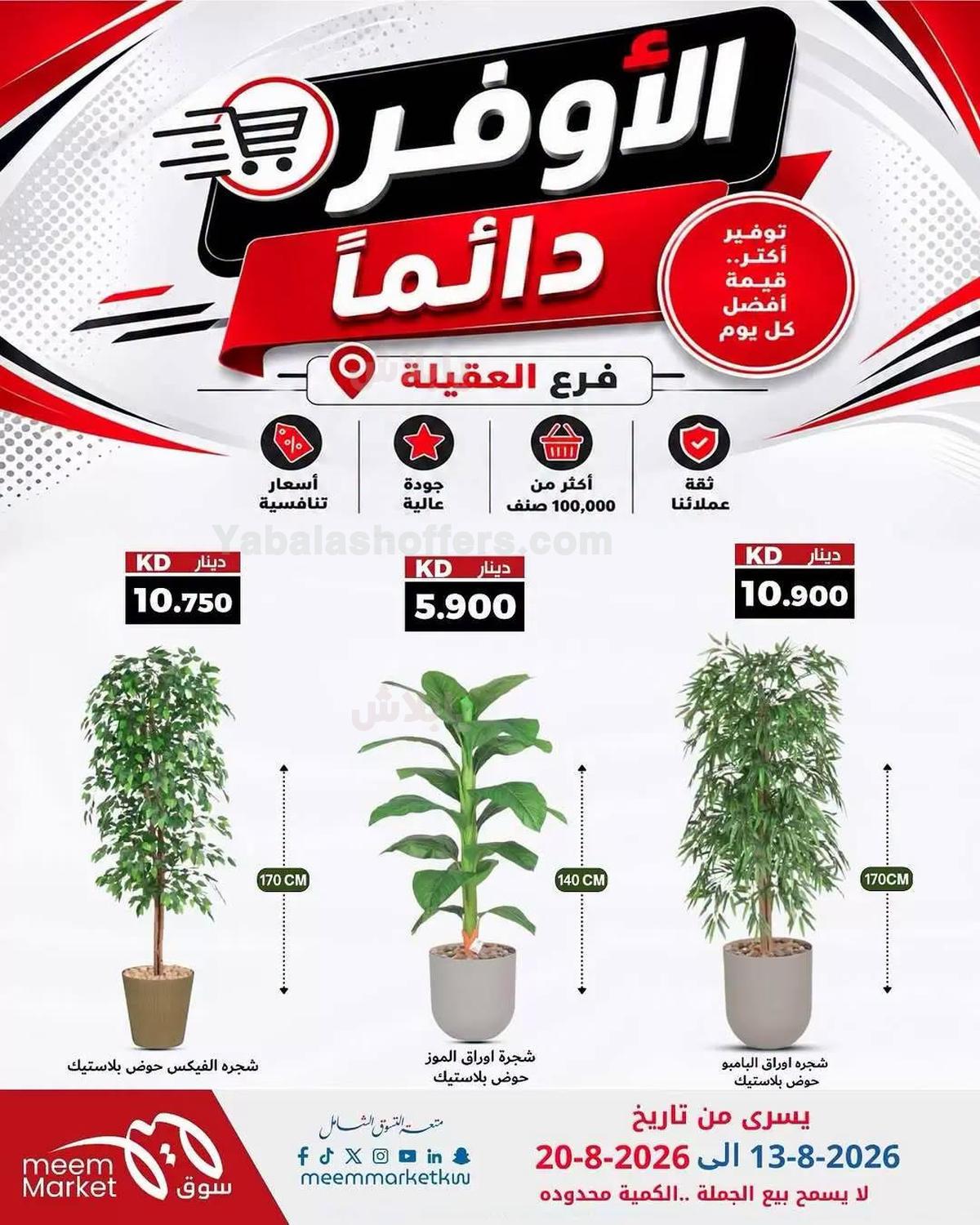 صفحة 6