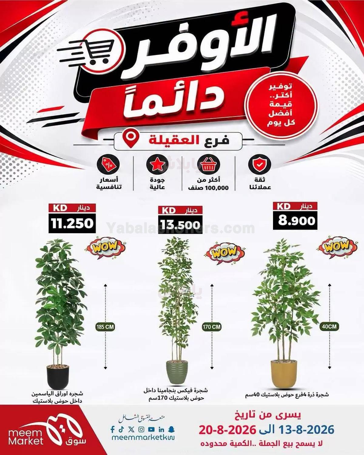 صفحة 8