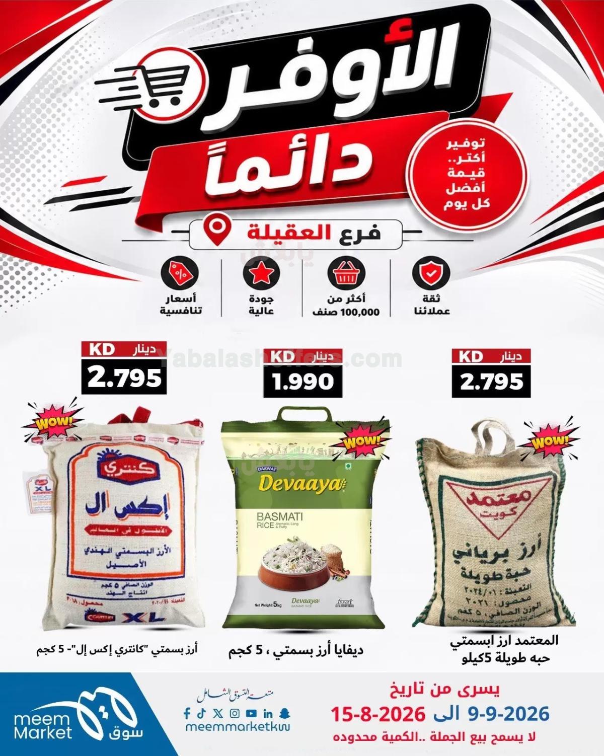 صفحة 8