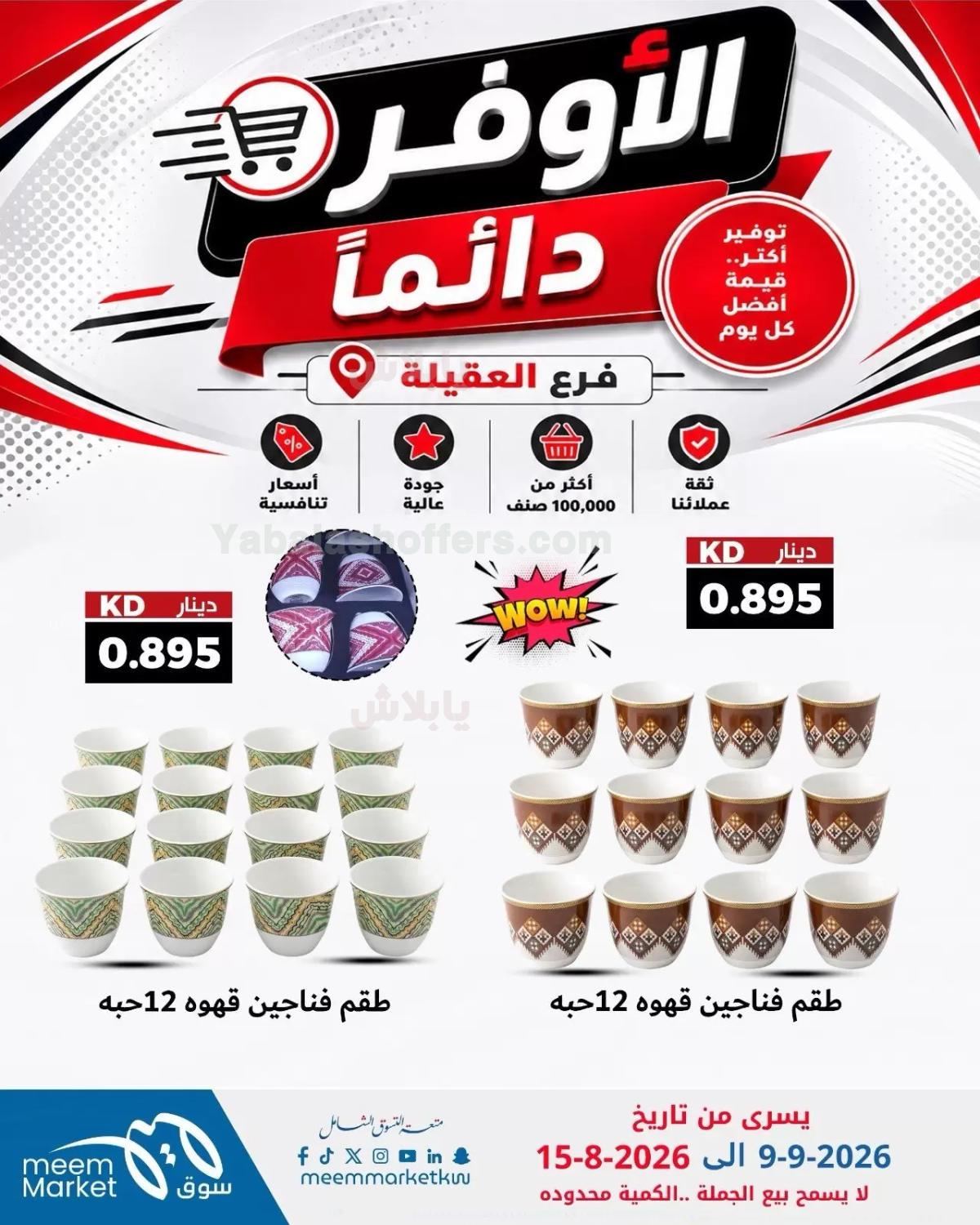 صفحة 13