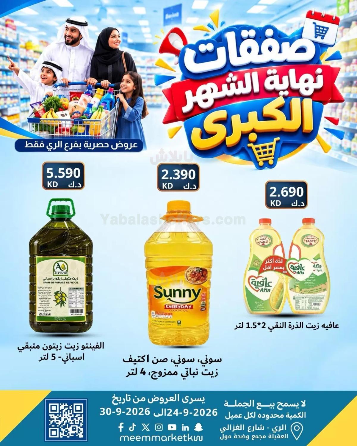 صفحة 17