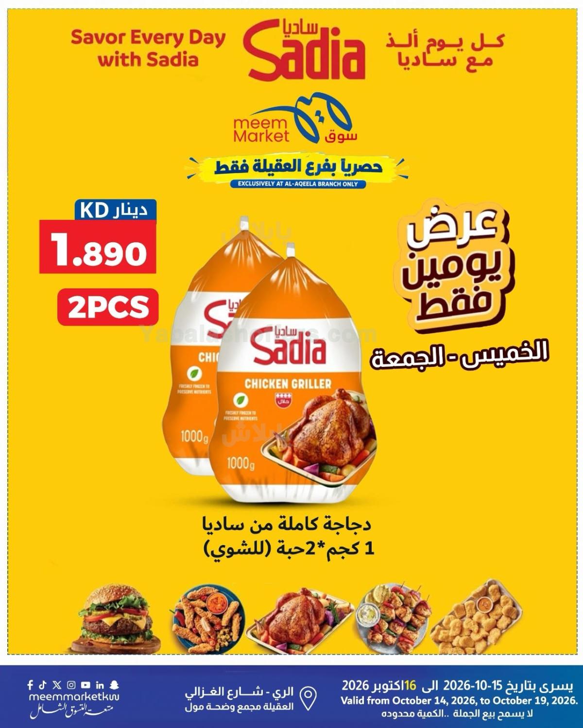 صفحة 2