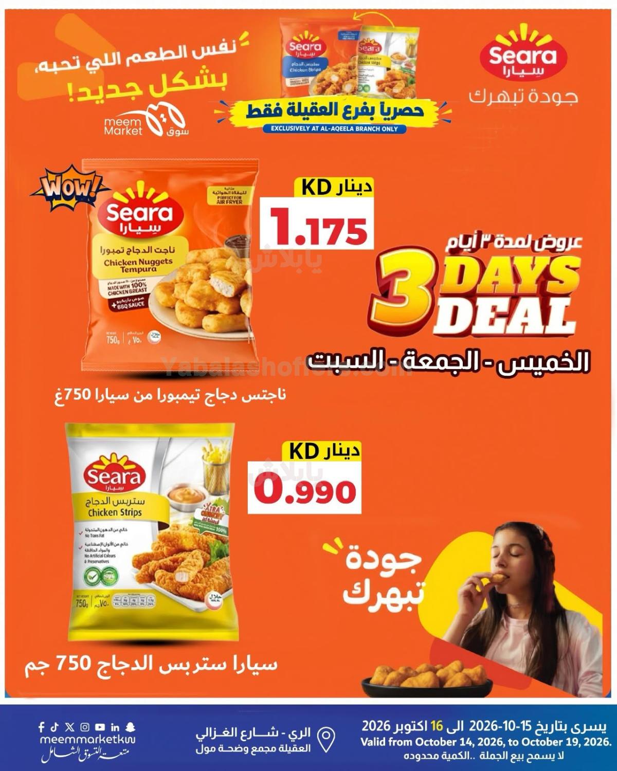 صفحة 3
