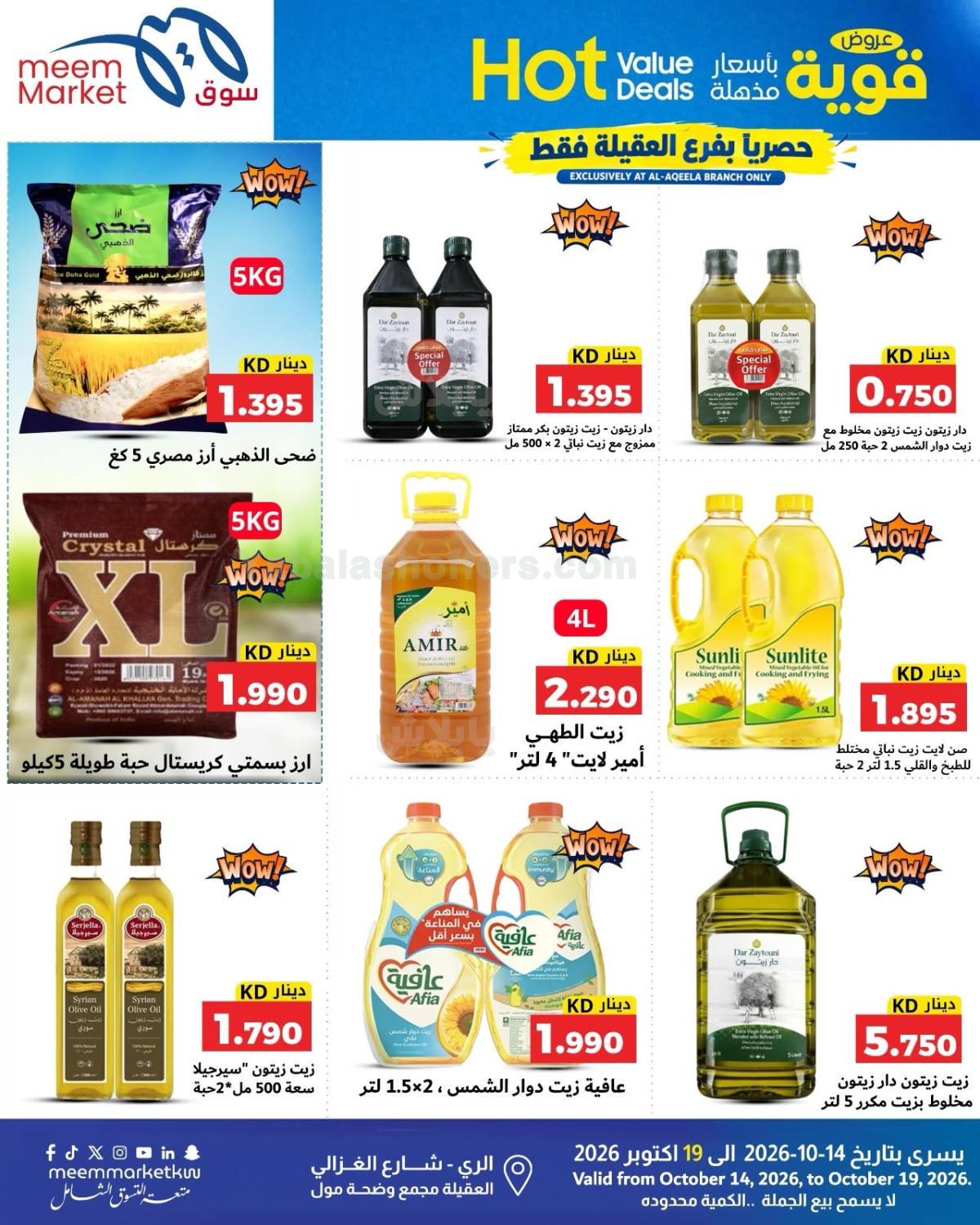 صفحة 10