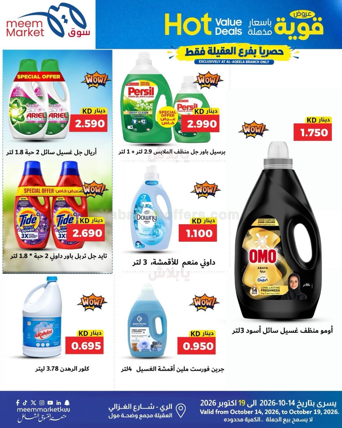 صفحة 15