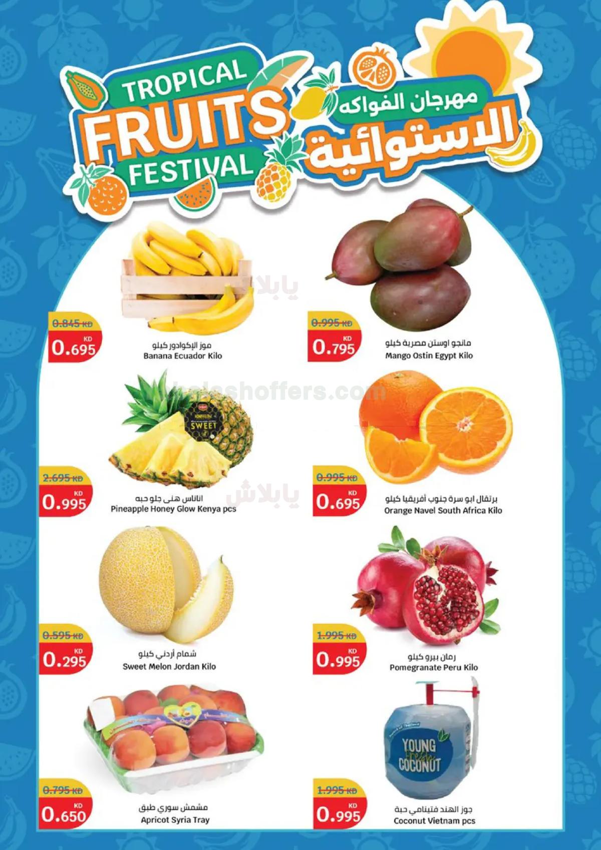 صفحة 2