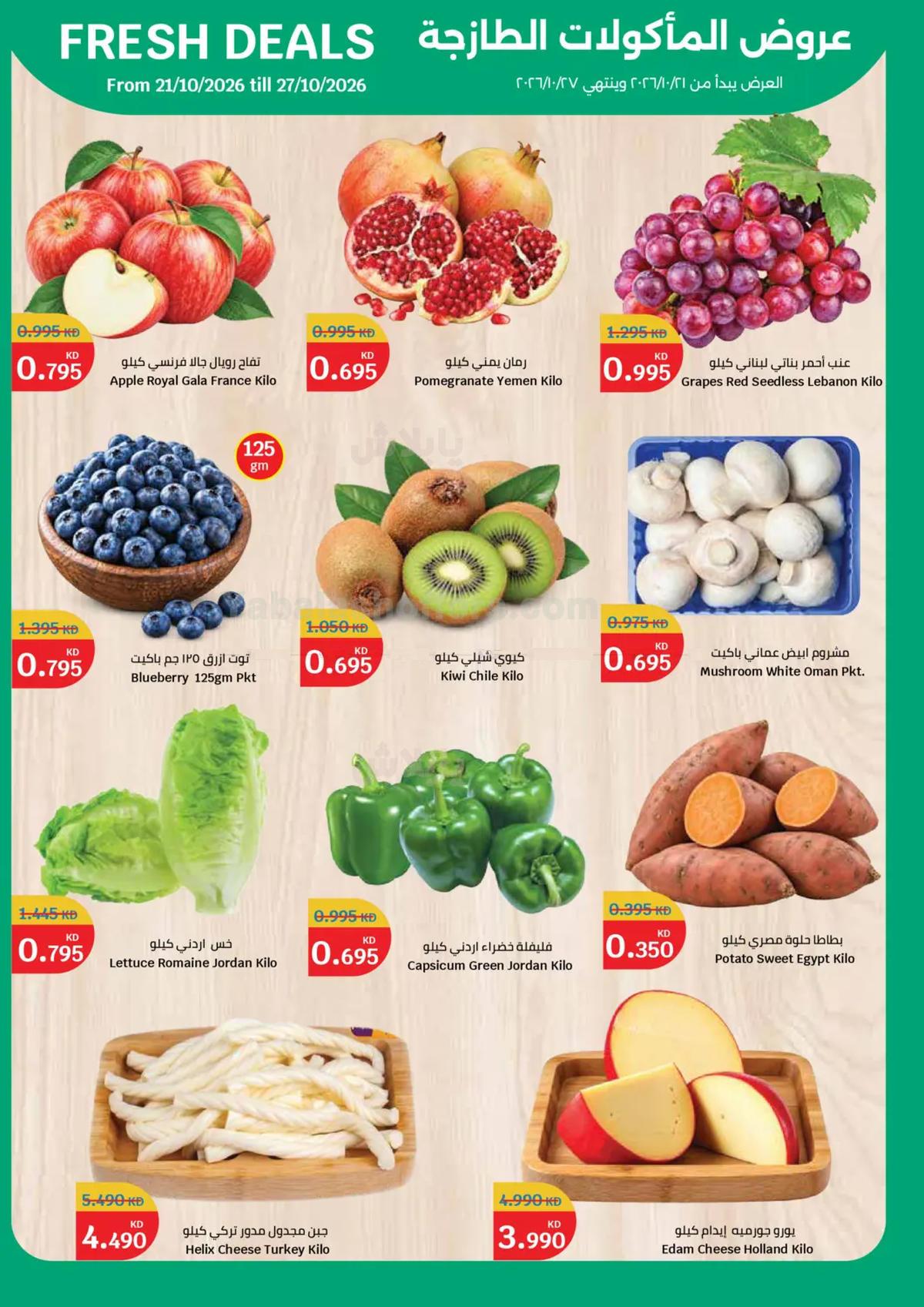 صفحة 2