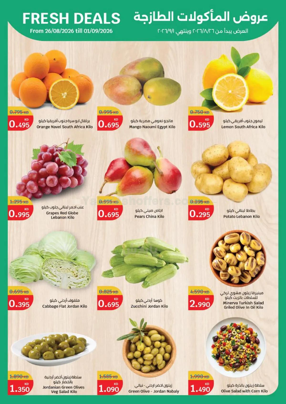 صفحة 2
