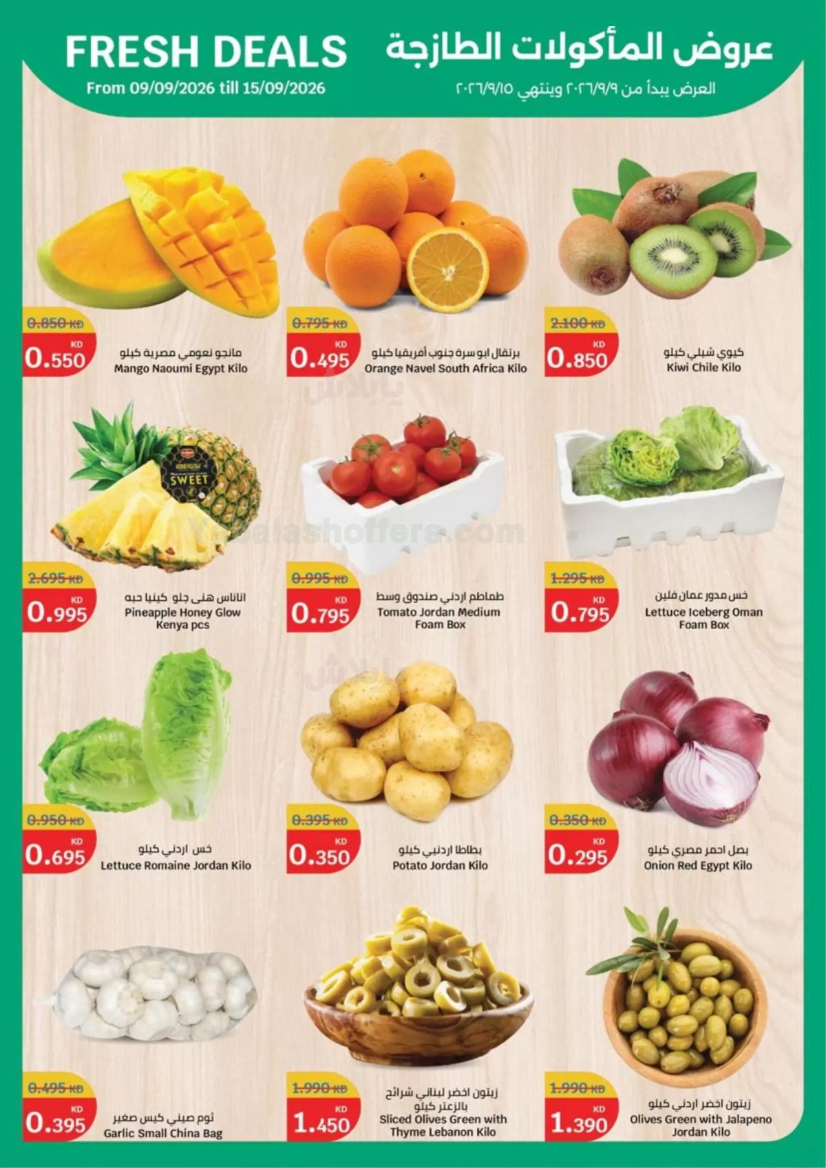 صفحة 2