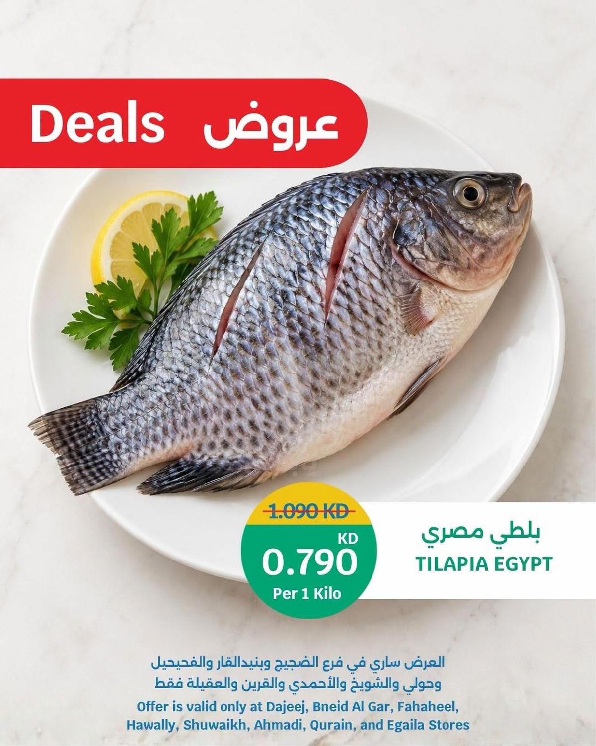 صفحة 1