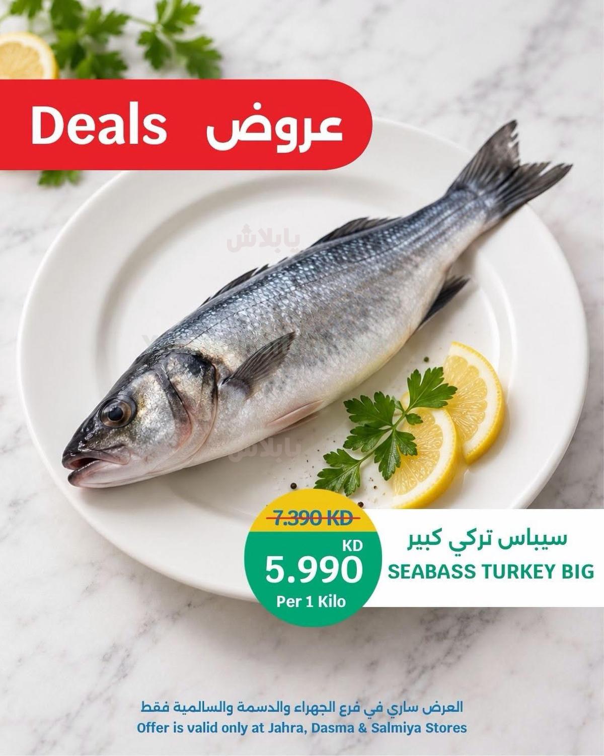 صفحة 2